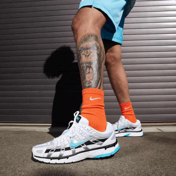 Nike P-6000 Dusty Cactus Silber Blau
